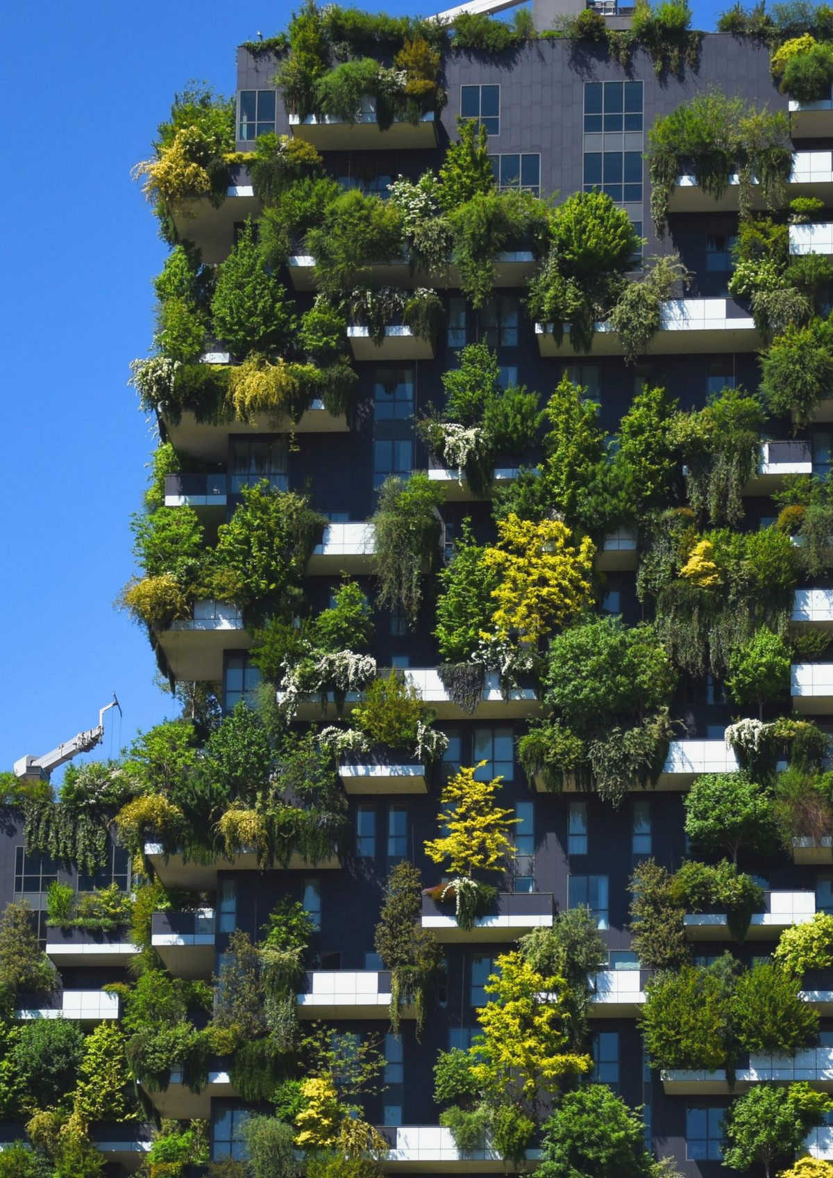 Building a Greener Future: How Civil Society is Paving the Way for Renewable Energy Solutions technology and