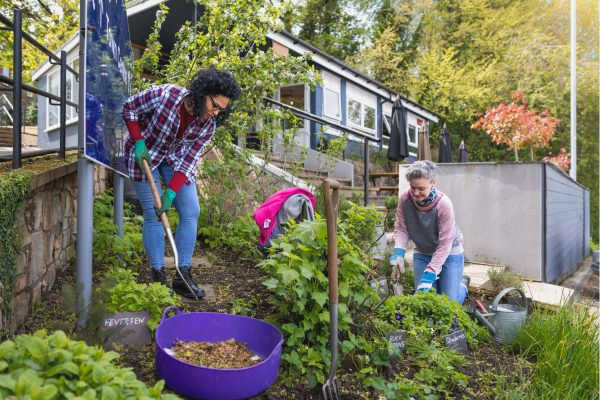 Building a Sustainable Future: How Social Entrepreneurship is Transforming Civil Society to develop Building a Sustainable Future: How Social Entrepreneurship is Transforming Civil Society to develop