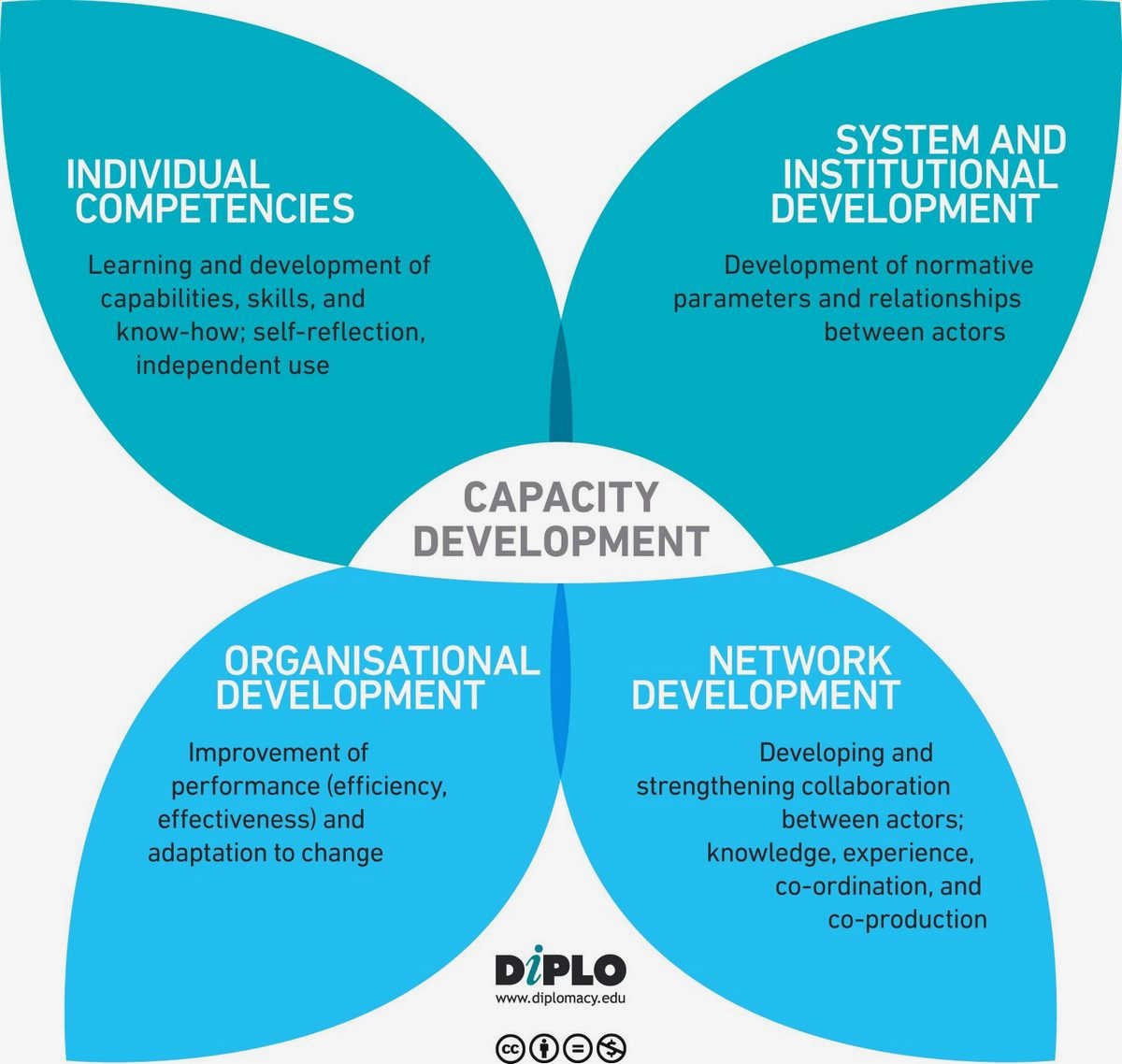 Creating Sustainable Impact: Best Practices for Capacity Building in Civil Society components of Creating Sustainable Impact: Best Practices for Capacity Building in Civil Society components of