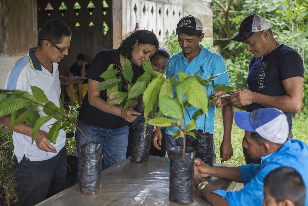 Driving Change: How Civil Society Promotes Equal Rights Advocacy policies that perpetuate
