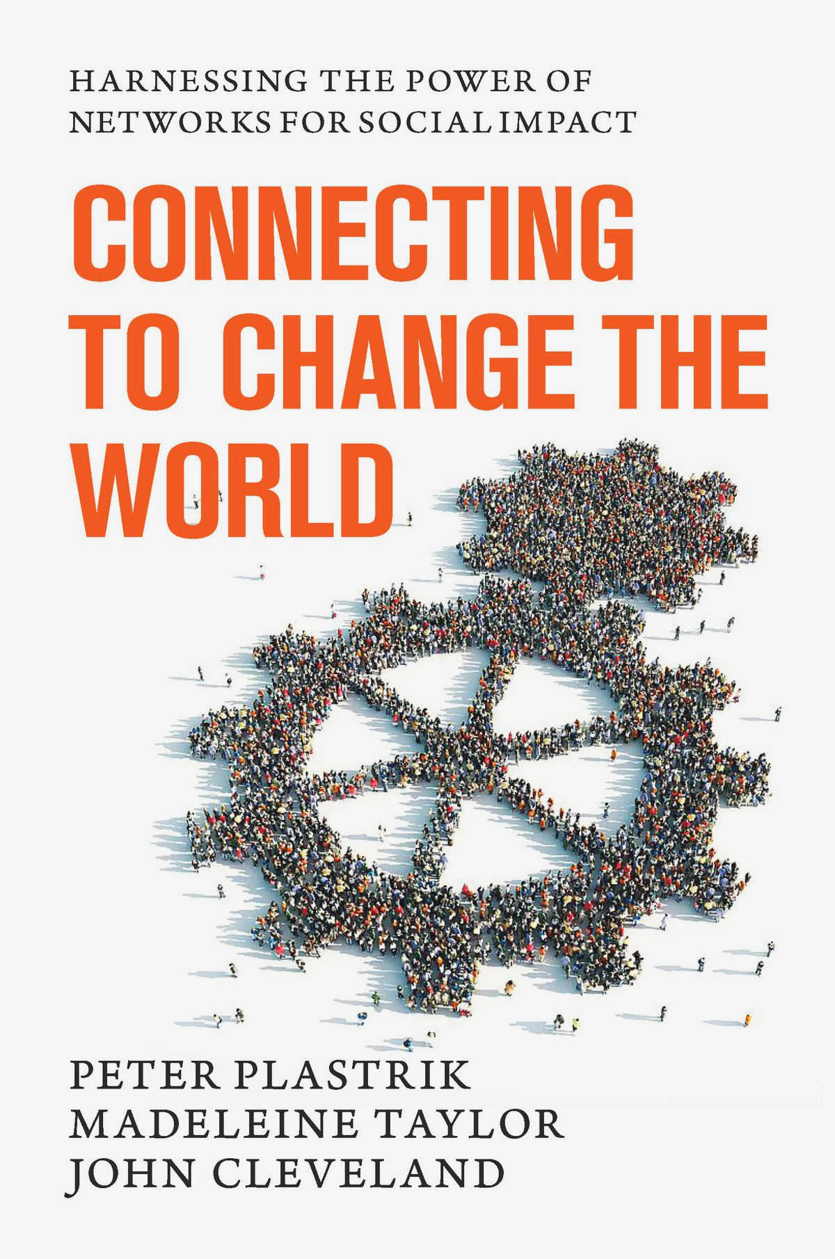 Driving Social Impact: Harnessing the Power of Civil Society for Community Development overlooked or ignored by