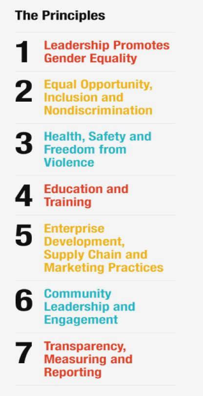 Driving Women’s Empowerment: Supporting Gender Equality Initiatives through Civil Society Grantmaking for improvement and make Driving Women’s Empowerment: Supporting Gender Equality Initiatives through Civil Society Grantmaking for improvement and make