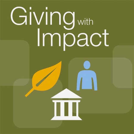 Empowering Communities: The Impact of Donor-Advised Funds on Civil Society Empowerment This stability Empowering Communities: The Impact of Donor-Advised Funds on Civil Society Empowerment This stability