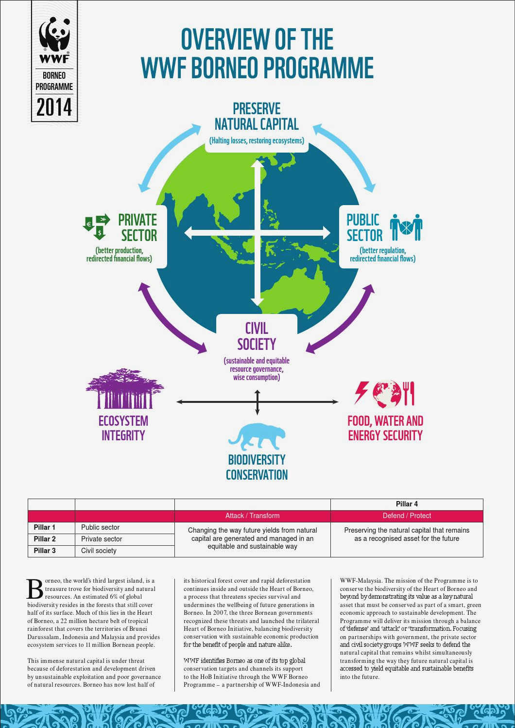 How Civil Society is Leading Global Conservation Efforts and sustainable