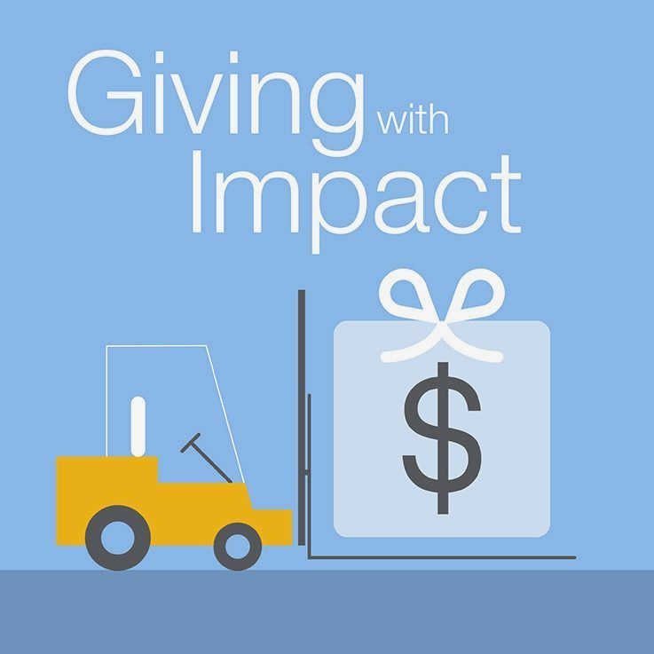 Maximizing Donor-Advised Funds for Strengthening Civil Society Development towards civil society organizations that