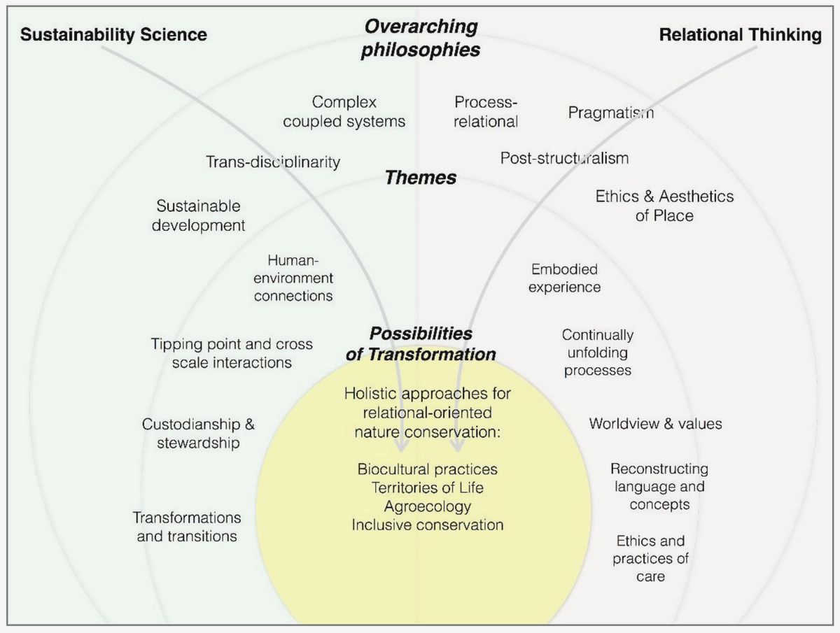 Sustainable Development and Conservation: Exploring the Crucial Role of Civil Society technical experts to access