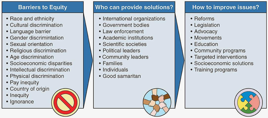 The Impact of Civil Society in Fostering Equality and Inclusion They also monitor and