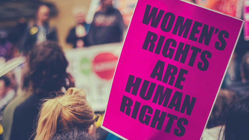 The Power of Civil Society in Promoting Equal Rights and Social Justice watchdog, scrutinizing the actions of The Power of Civil Society in Promoting Equal Rights and Social Justice watchdog, scrutinizing the actions of