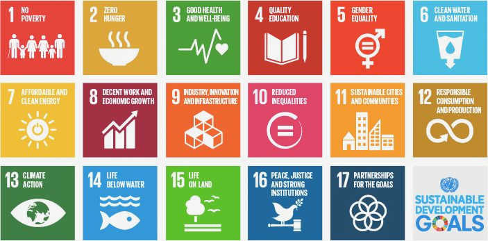 The Role of Civil Society in Advancing Sustainable Development Goals – A Crucial Driver of Change valuable link between the government The Role of Civil Society in Advancing Sustainable Development Goals – A Crucial Driver of Change valuable link between the government