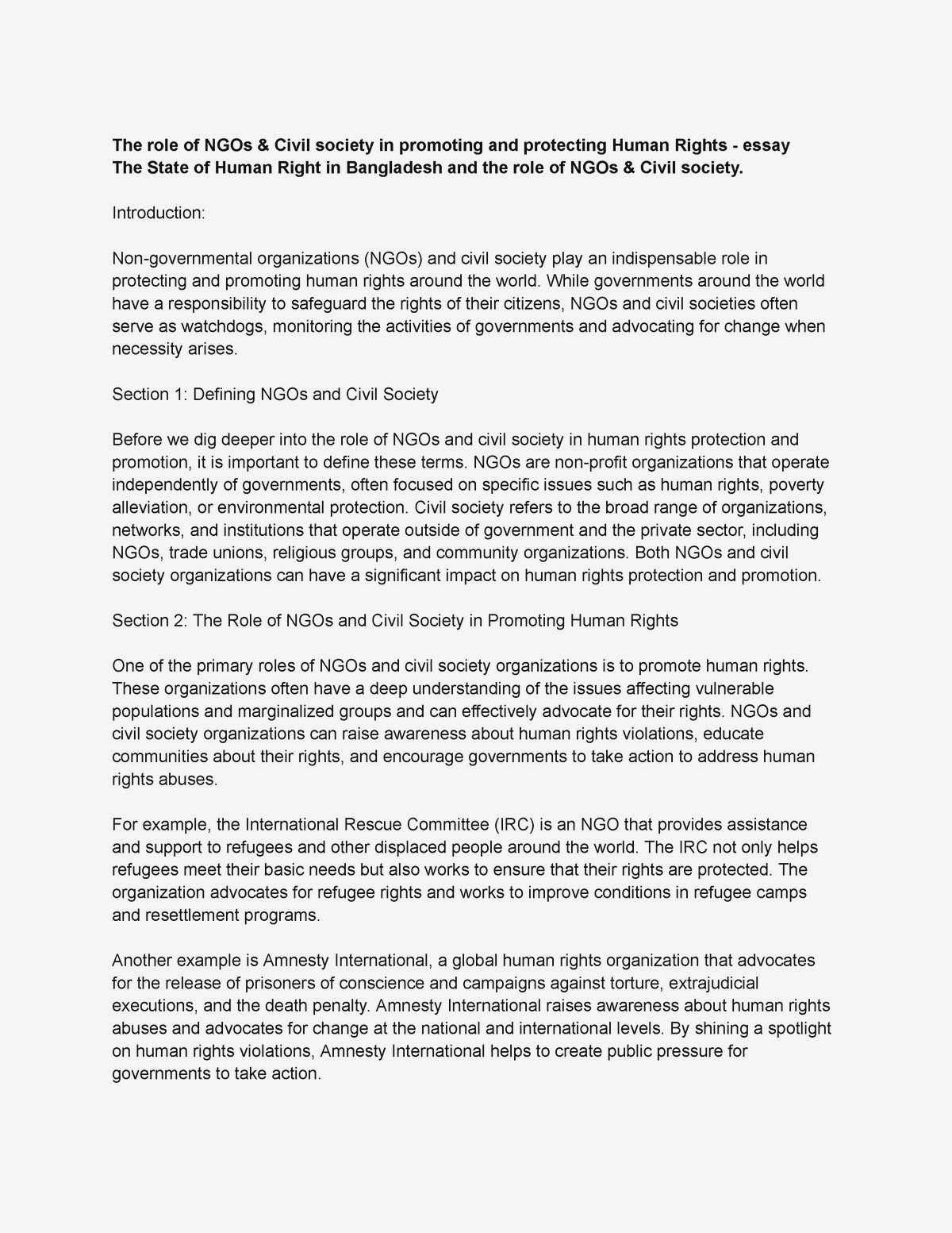 The Role of Civil Society in Protecting Human Rights: Examples from Around the World documentation that