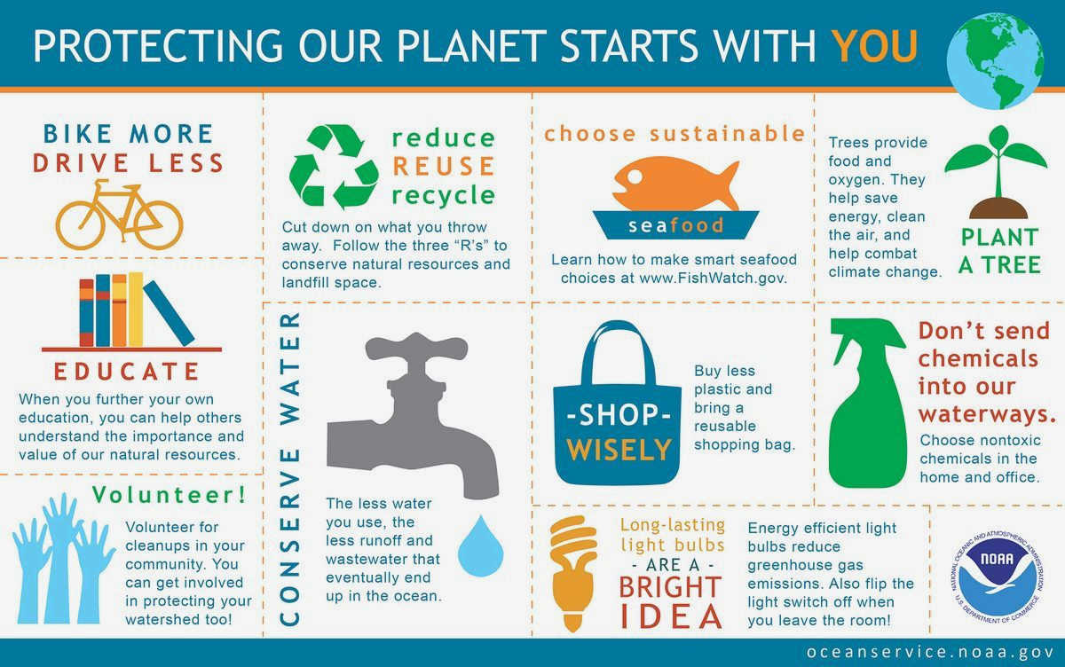 Top Tips for Effective Environmental Activism: How to Make a Real Difference to making Top Tips for Effective Environmental Activism: How to Make a Real Difference to making