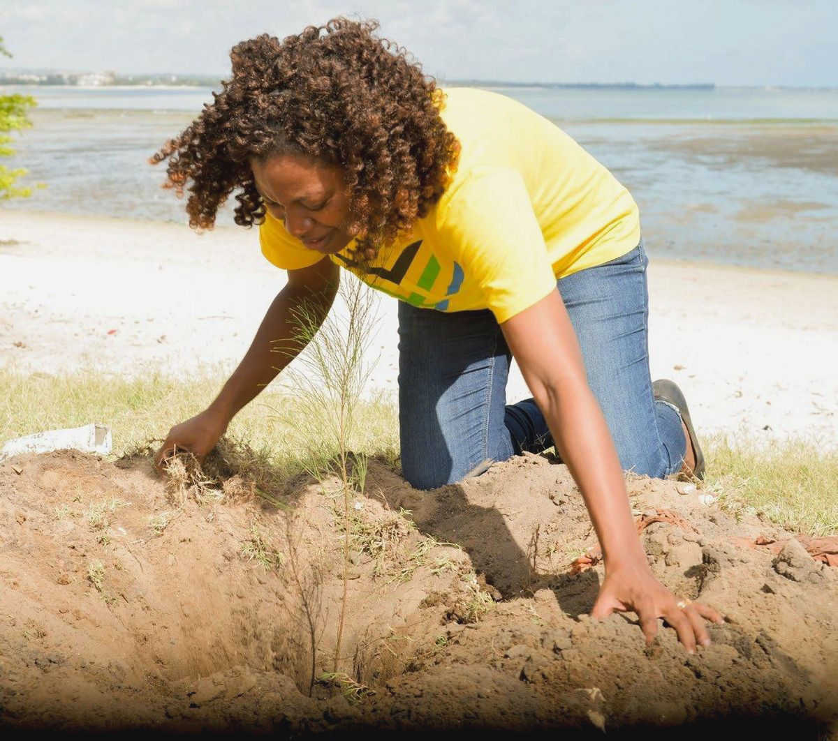 Unleashing the Potential: How Local Volunteering Can Drive Positive Change in Civil Society volunteer activities, individuals become Unleashing the Potential: How Local Volunteering Can Drive Positive Change in Civil Society volunteer activities, individuals become