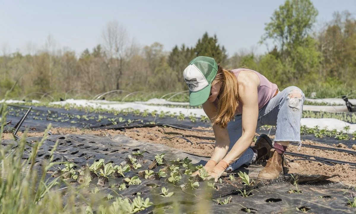 Unleashing the Potential: How Local Volunteering Can Drive Positive Change in Civil Society vulnerable members of our Unleashing the Potential: How Local Volunteering Can Drive Positive Change in Civil Society vulnerable members of our